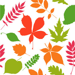 Seamless pattern background. Autumn leaves.