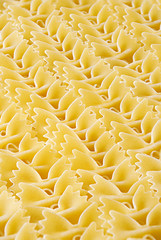 Pasta lying in neat rows