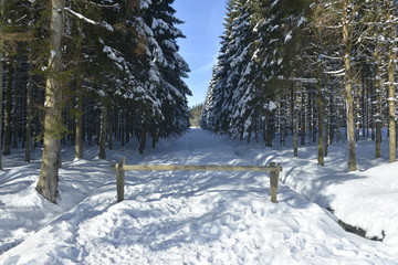 L'un des chemins interdis aux véhicules sous la neige