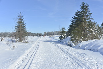 Chemin pour le ski de fond et la promenade