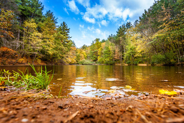 Relaxing Shore Of Small Pond In Fall