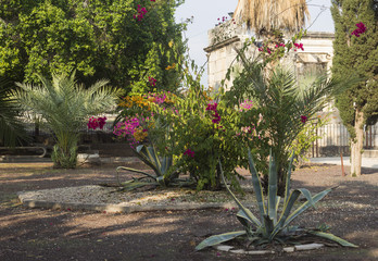 Obraz premium flowerbed
