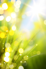 abstract spring background