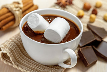 Hot chocolate with marshmallows in cup with cinnamon