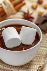 Fototapeta na wymiar Hot chocolate with marshmallow in mug, close up