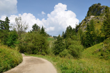 Fototapeta na wymiar Road in mountains (Pieniny in Poland)