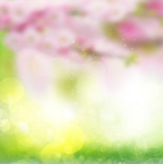 green leaves bokeh background