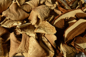Dry mushrooms