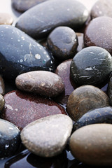 Wet sea pebbles, macro view