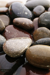 Wet sea pebbles, macro view