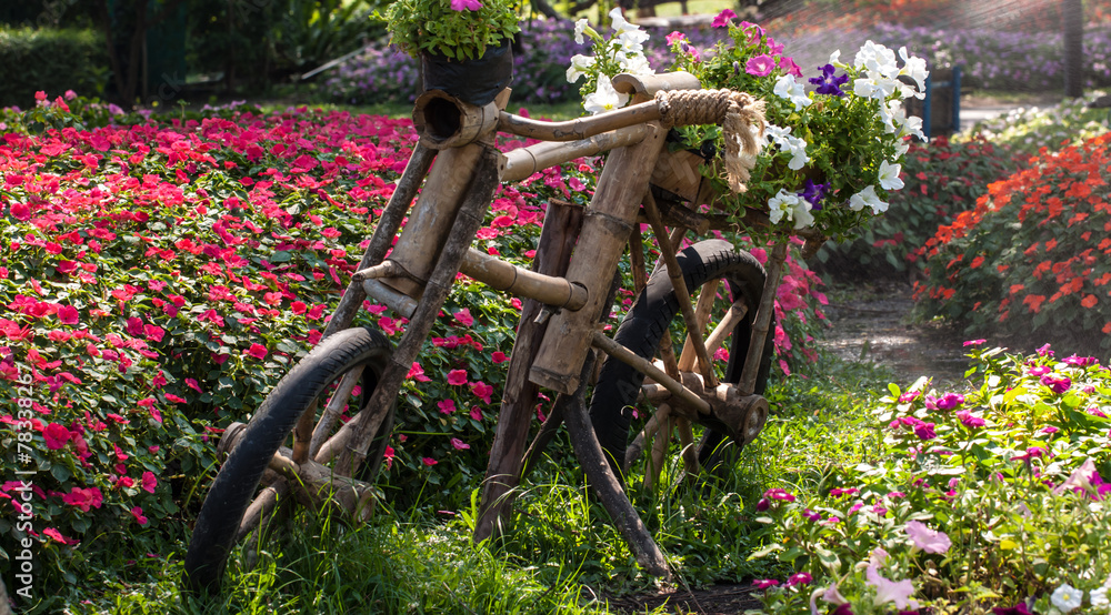 Wall mural beautiful flower in garden