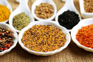 Different kinds of spices in ceramics spoons, close-up,