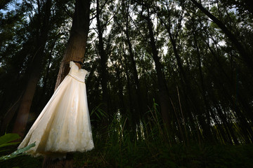 White Wedding Dress hanged in a forest