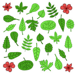 Hand-drawn leaves doodles set