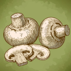 engraving illustration of champignons