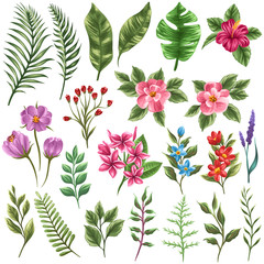 Collection of flowera and leaves