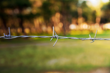 Barbed wire at sunset.
