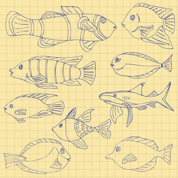 Sketch of sea Fish on a school notebook in a cage. Doodle vector