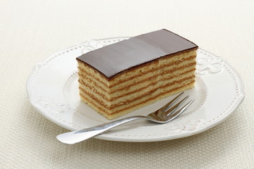 Bavaria cake, layers of biscuit with chocolate