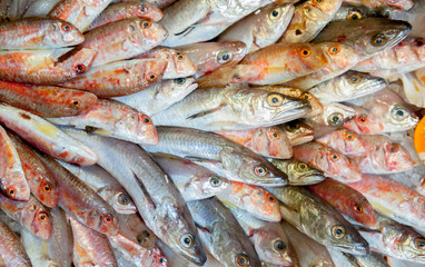 Bunch of fresh fishes displayed in market