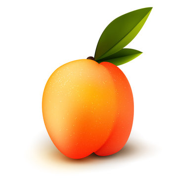 Ripe isolated peach fruit