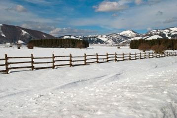 Wooden fence