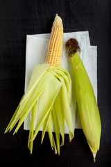 corn on the cob & fork and knife on black © irynagrygorii