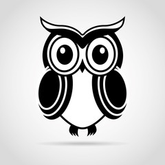 owl bird