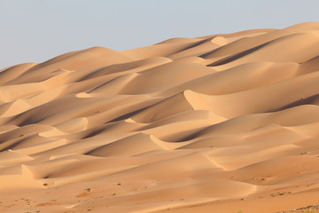 Sand dunes at the Empty Quarter desert. UAE