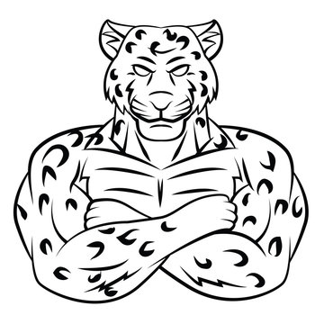 Cheetah illustration on white