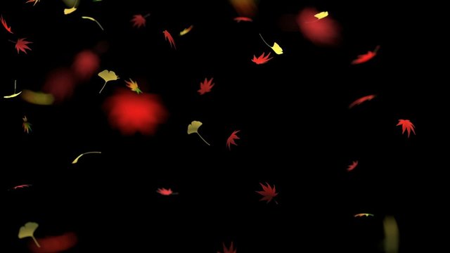 舞い散る紅葉