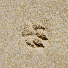 sand pattern of a beach