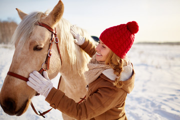 Horse care
