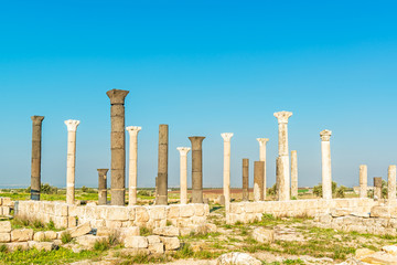 Fototapeta premium Raphana in present-day north of Jordan