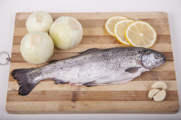 Trout