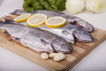 Trouts