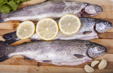 Trouts