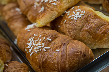 French croissant