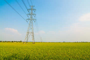 High voltage power line through the rice fields.