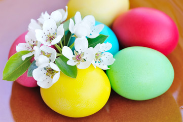 Colored easter eggs with white flowers