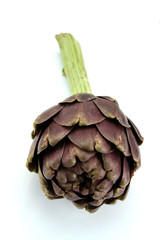 Obraz premium artichaut