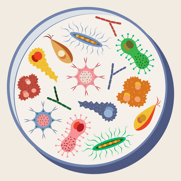 Cartoon various microbes