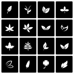 Fototapeta na wymiar Vector black leaf icon set
