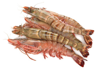 Raw shrimp