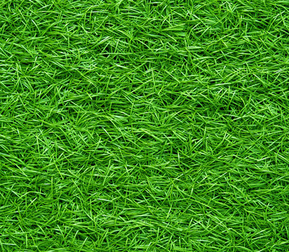 artificial Grass