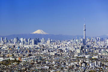 東京スカイツリーと富士山と東京都心全景  2015年1月