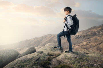 Young explorer on top of a rock - obrazy, fototapety, plakaty