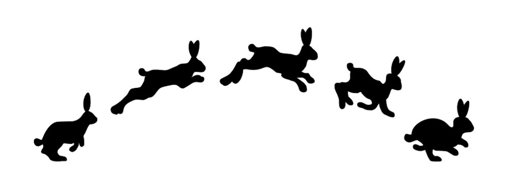 Springende Hasen