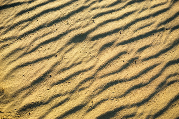 Sandy background