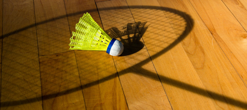 Shuttlecock badminton on court